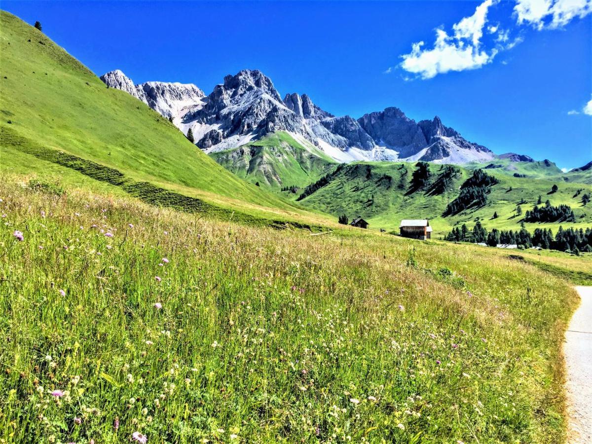 Hotel Arnika Wellness Passo San Pellegrino Esterno foto